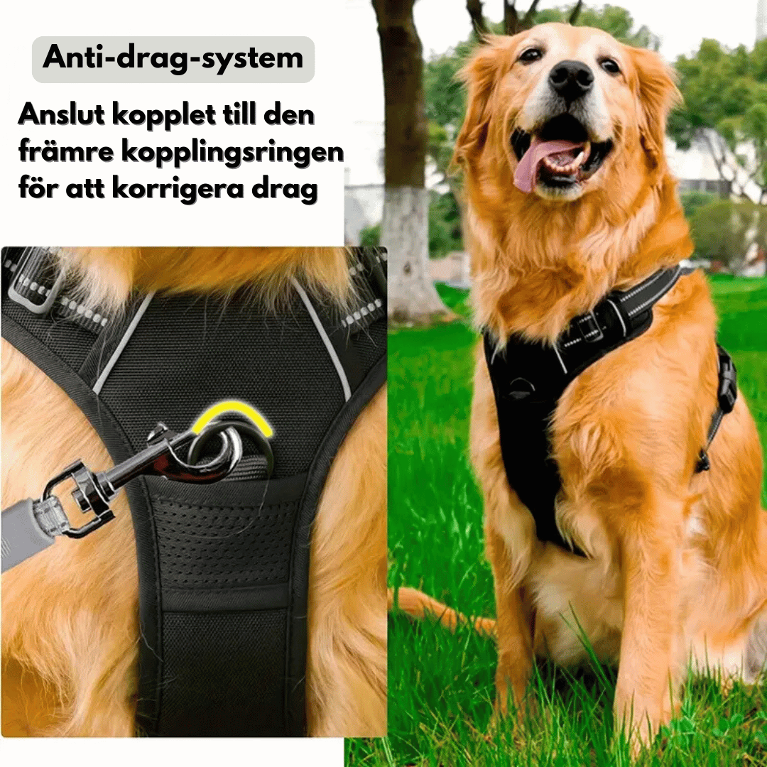 Justerbar Hundsele med Reflex, Anti-drag, Andas - Gul