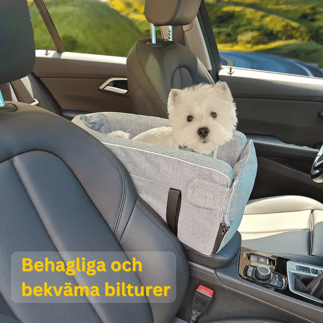 En liten vit hund sitter i ett grått bilsäte som är placerat i framsätet på en bil. Texten 