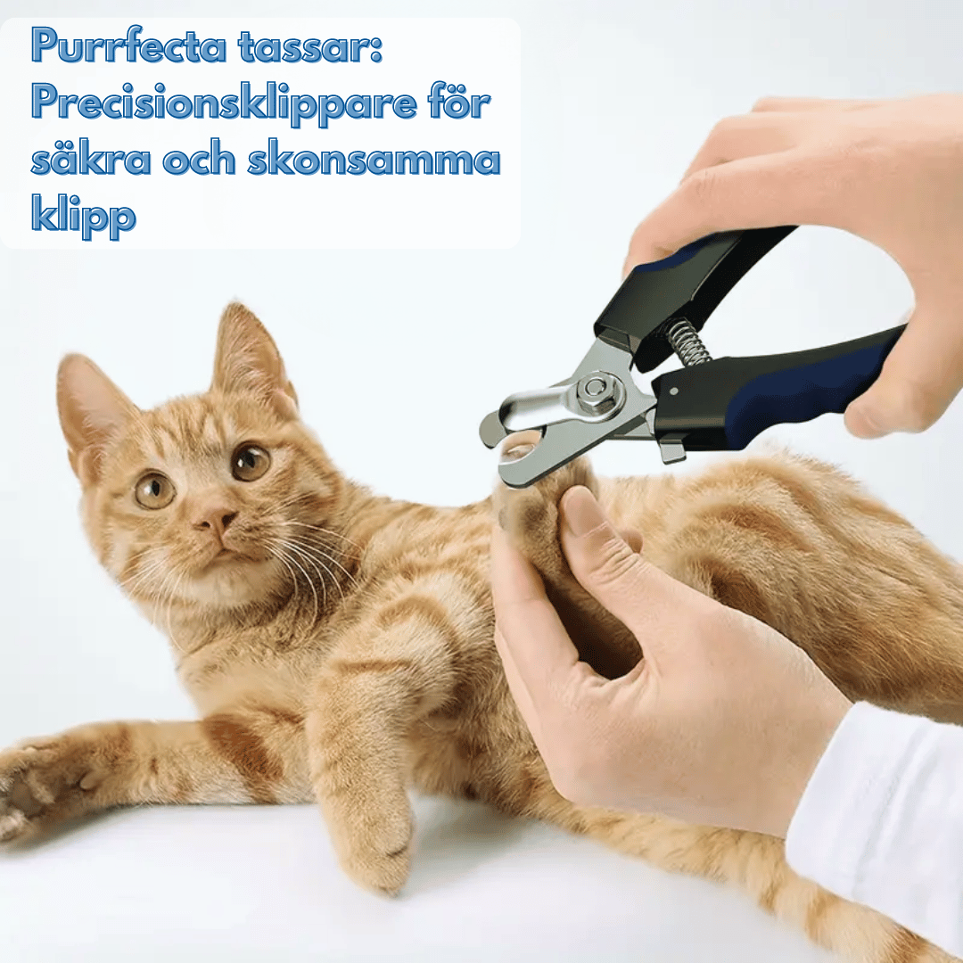 En person klipper klorna på en röd katt med en kloklippare. Texten 