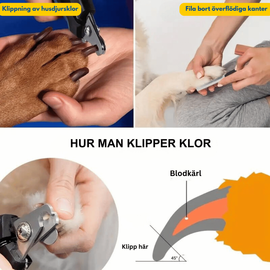 En guide som visar hur man klipper klorna på ett husdjur. Guiden innehåller bilder på hur man klipper klorna på en hund och filar dem, samt en illustration som visar var man ska klippa för att undvika att träffa blodkärlet. Texten "Klippning av husdjursklor", "Fila bort överflödiga kanter" och "HUR MAN KLIPPER KLOR" finns i bilden.