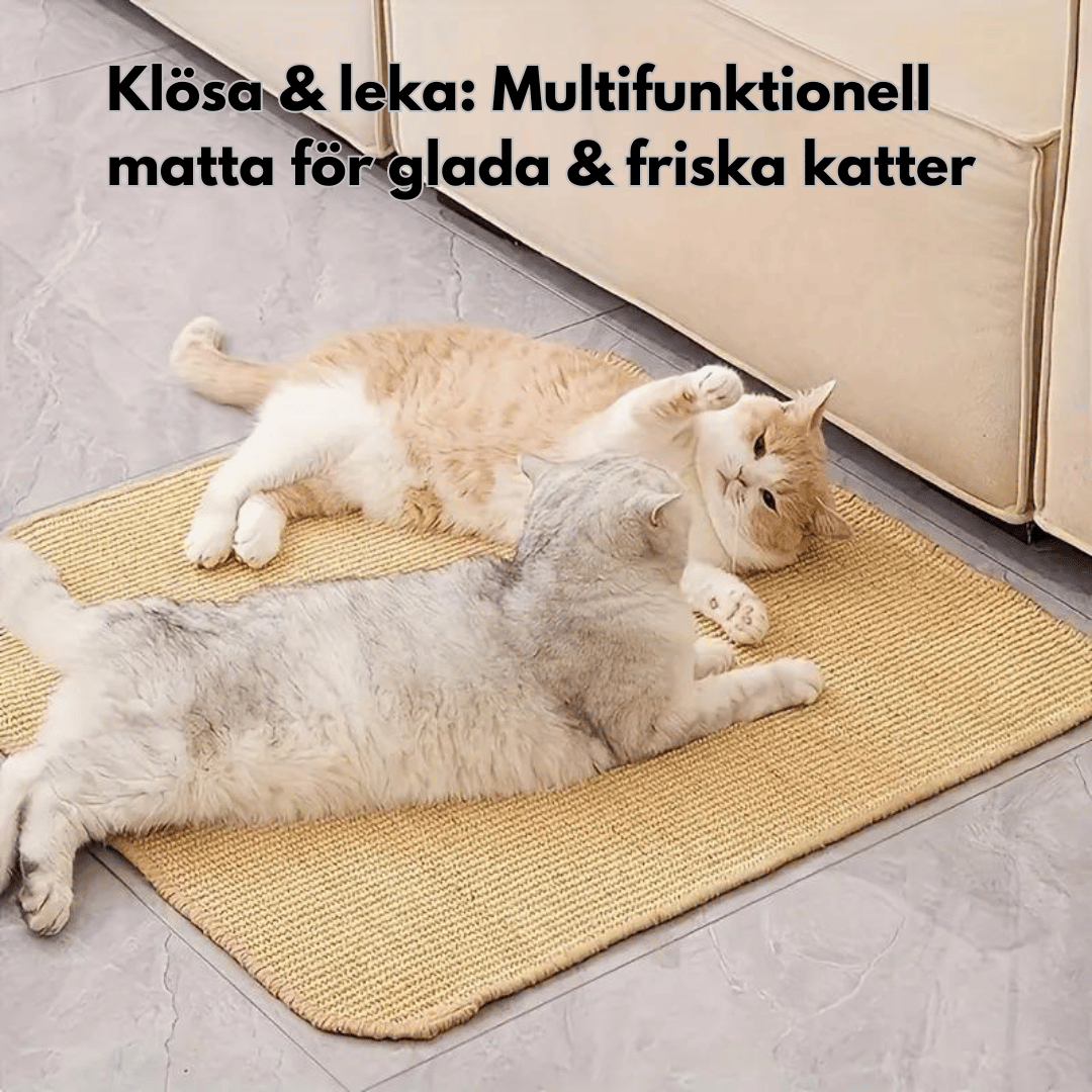 Två katter leker på en beige, multifunktionell klösmatta. Texten "Klösa & leka: Multifunktionell matta för glada & friska katter" finns i bilden.