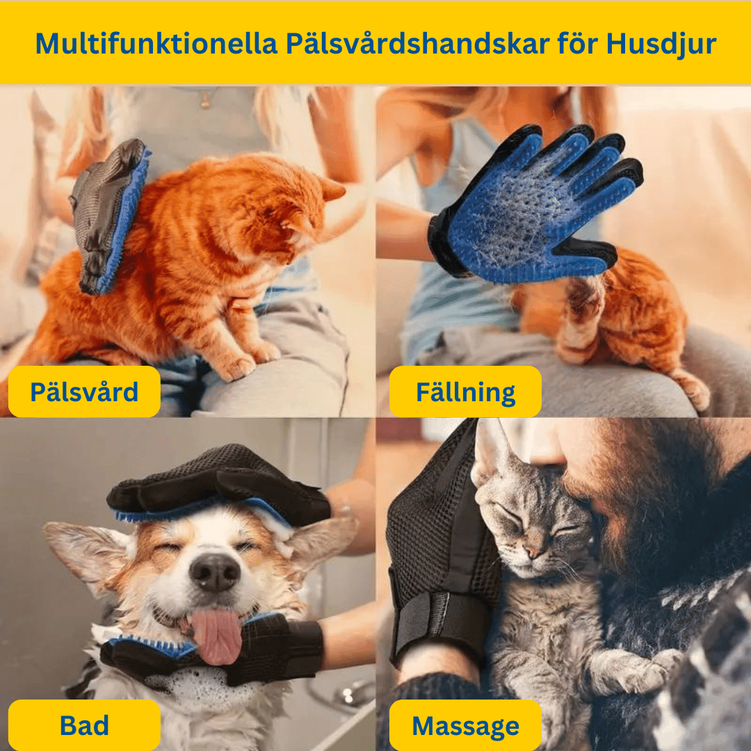 Multifunktionella pälsvårdshandskar för husdjur som kan användas för pälsvård, fällning, bad och massage.  Handskarna visas i användning på en röd katt och en hund. Texten "Multifunktionella Pälsvårdshandskar för Husdjur", "Pälsvård", "Fällning", "Bad" och "Massage" finns i bilden.