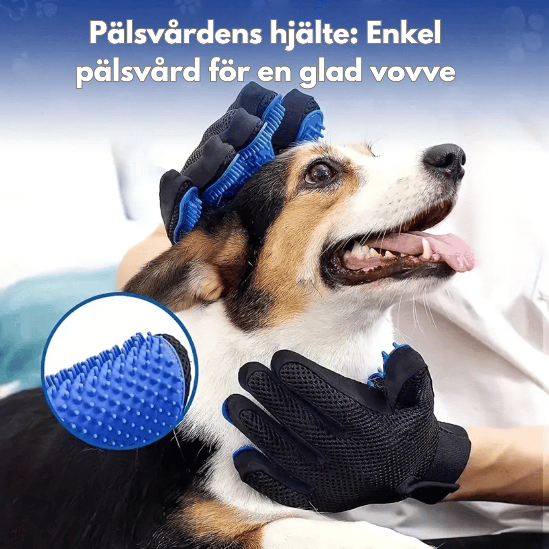 En svart pälsvårdshandske med blå silikonnoppor som används för att borsta en hund. Texten 