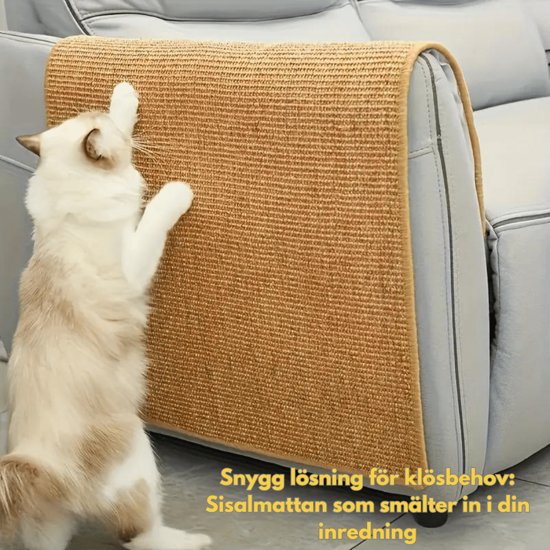 En ragdoll-katt klöser på en beige sisalmatta som är fäst på en grå soffa. Texten 