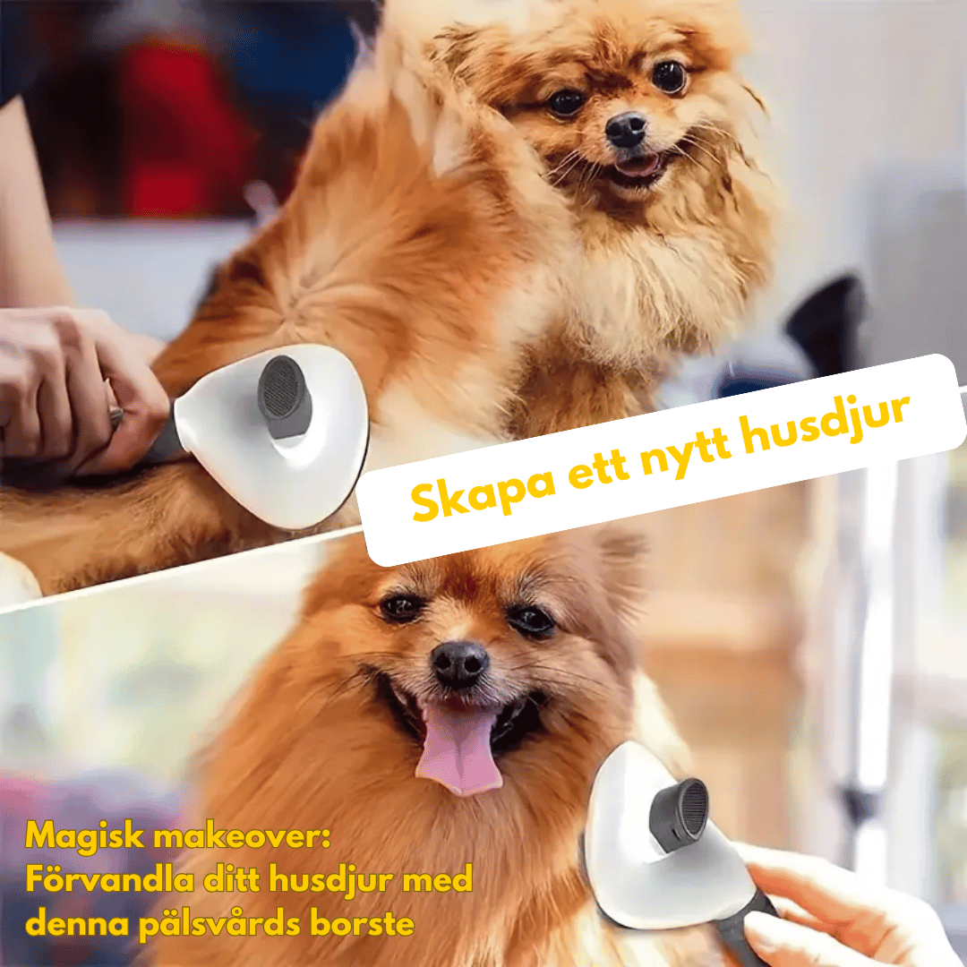 En självrengörande pälsvårdsborste som används för att borsta en Pomeranian hund. Texten "Magisk makeover: Förvandla ditt husdjur med denna pälsvårds borste" och "Skapa ett nytt husdjur" finns i bilden.  Två bilder visar hunden före och efter borstning.