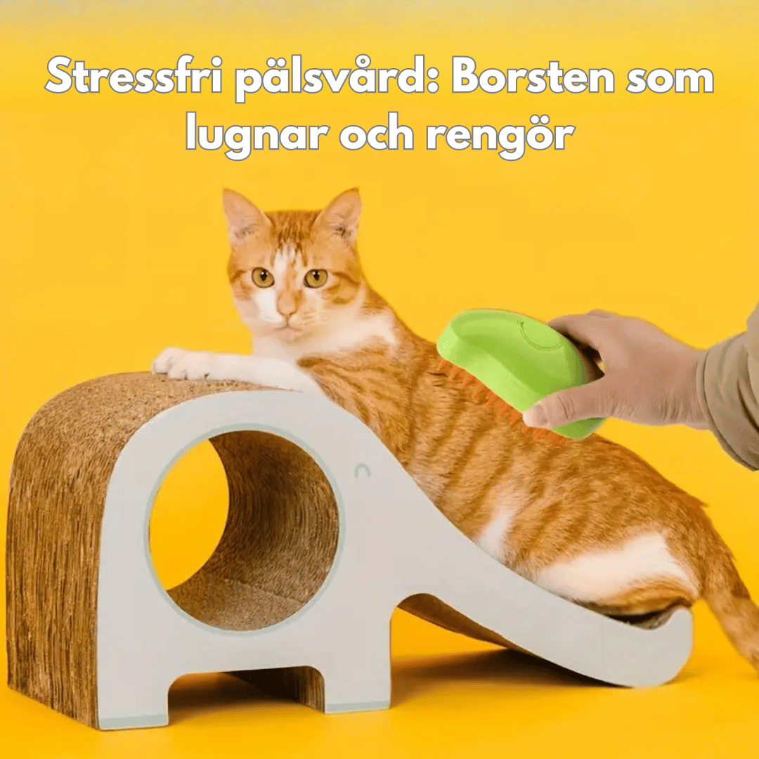 En person borstar en röd katt med en grön 3-i-1 borste. Katten sitter på en elefantformad klösbräda. Texten "Stressfri pälsvård: Borsten som lugnar och rengör"  finns överst i bilden.